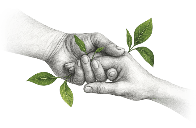 مسئولیت اجتماعی پیوست